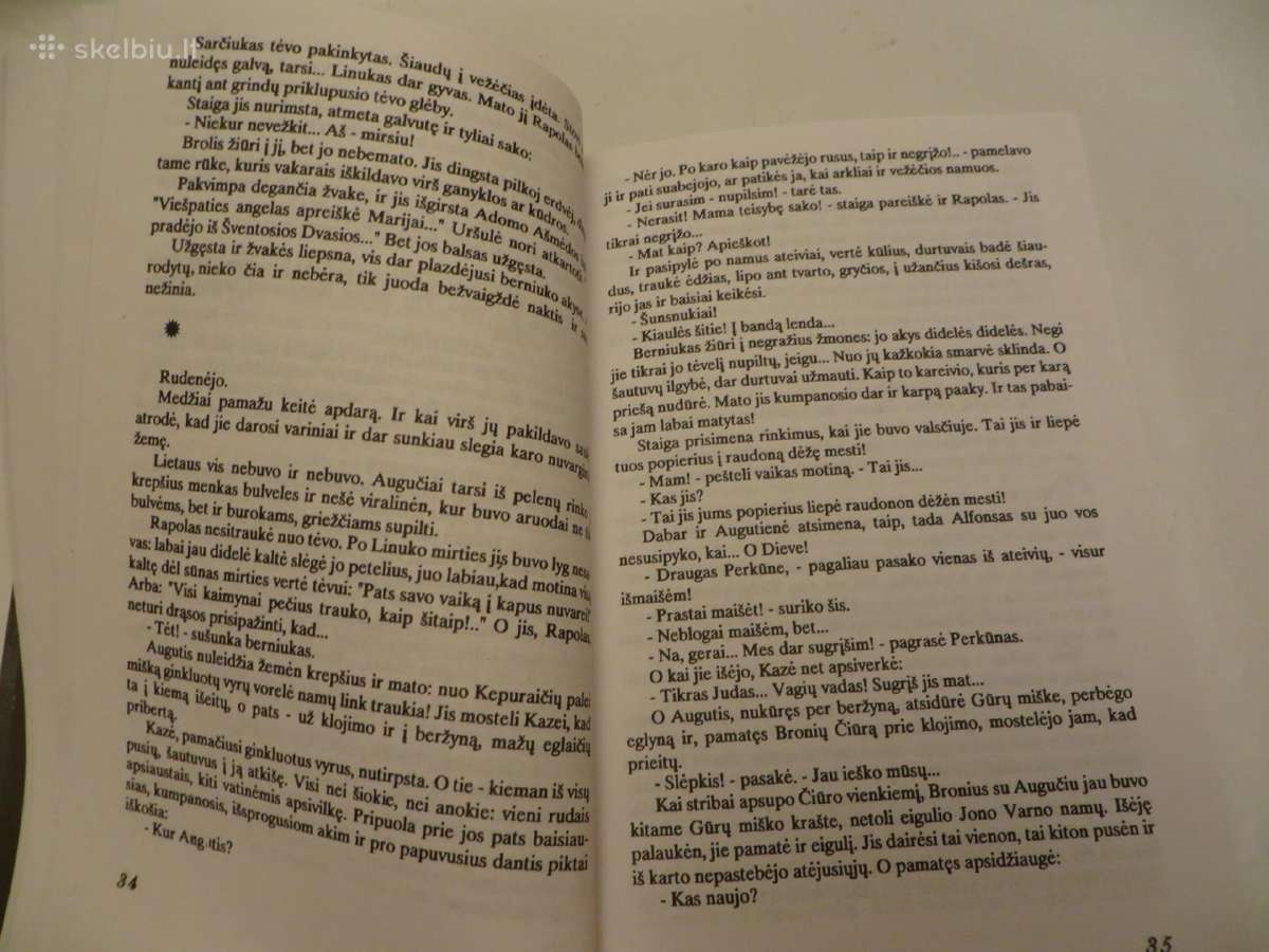 Knyga Išskridusios bitės Jurgis Usinavičius 1995 - nuotraukos Nr. 7