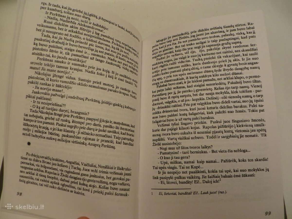Knyga Išskridusios bitės Jurgis Usinavičius 1995 - nuotraukos Nr. 8