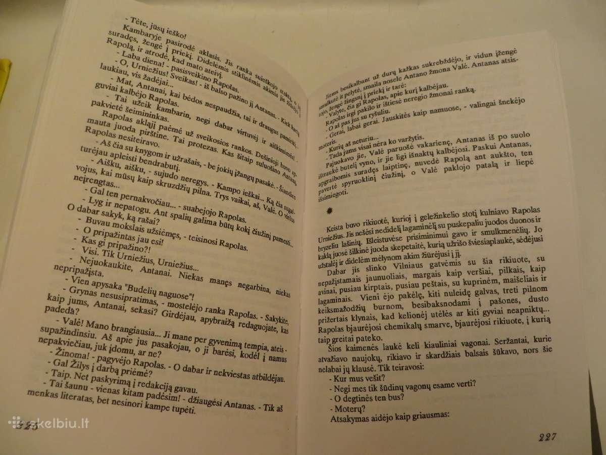 Knyga Išskridusios bitės Jurgis Usinavičius 1995 - nuotraukos Nr. 11