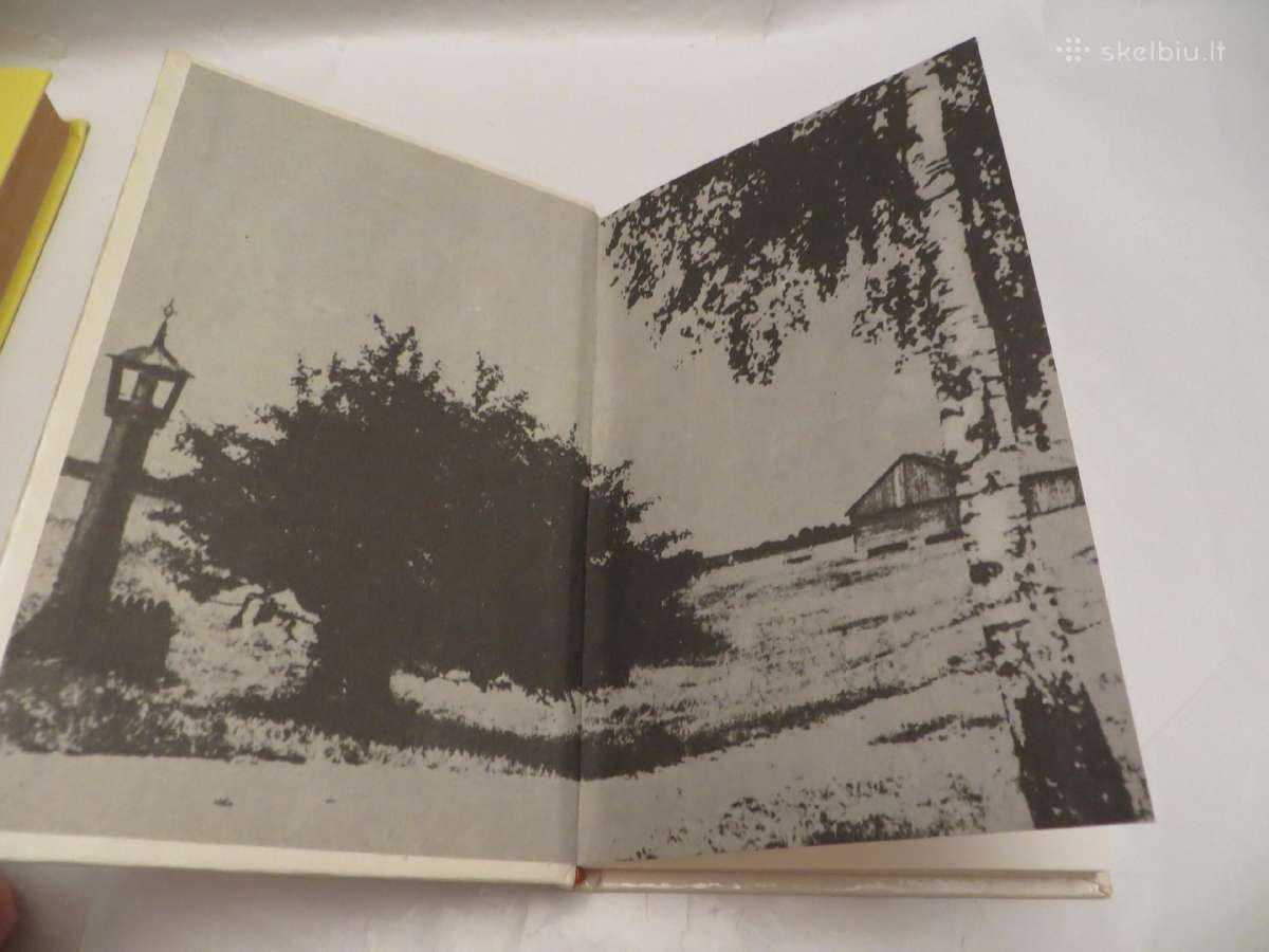 Knyga Miglose Vincas Krėvė 1993 - nuotraukos Nr. 3