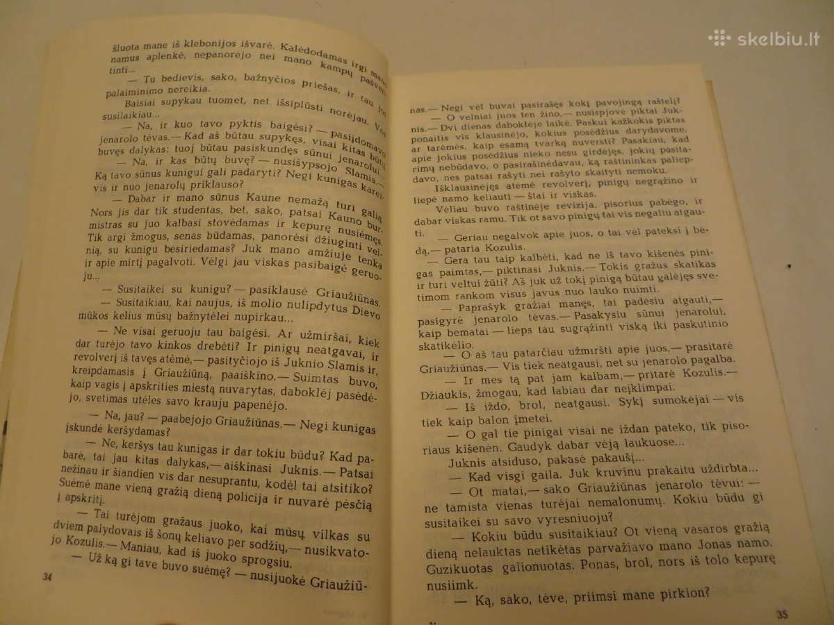 Knyga Miglose Vincas Krėvė 1993 - nuotraukos Nr. 7