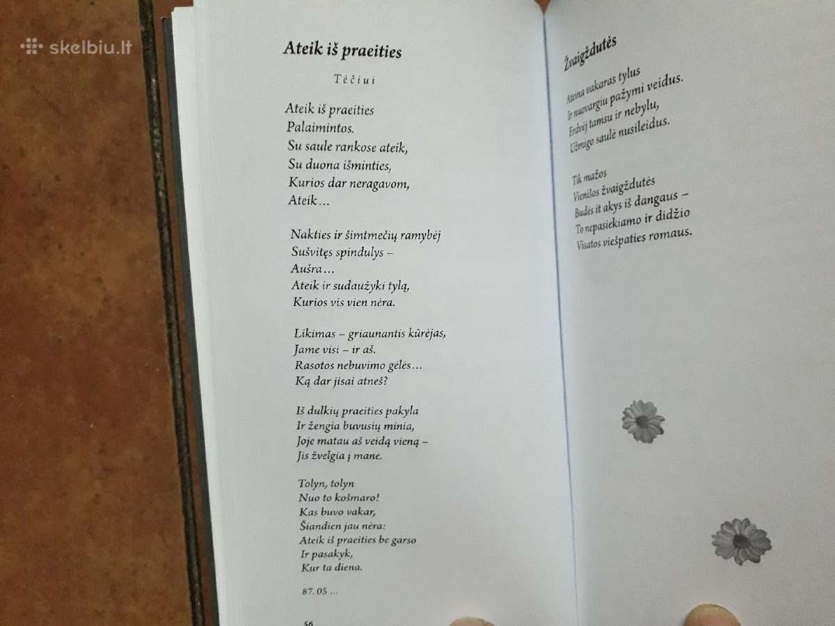 Raimonda Ruzgaitė "Nutrūkusios eilės" 2023 metai - nuotraukos Nr. 8