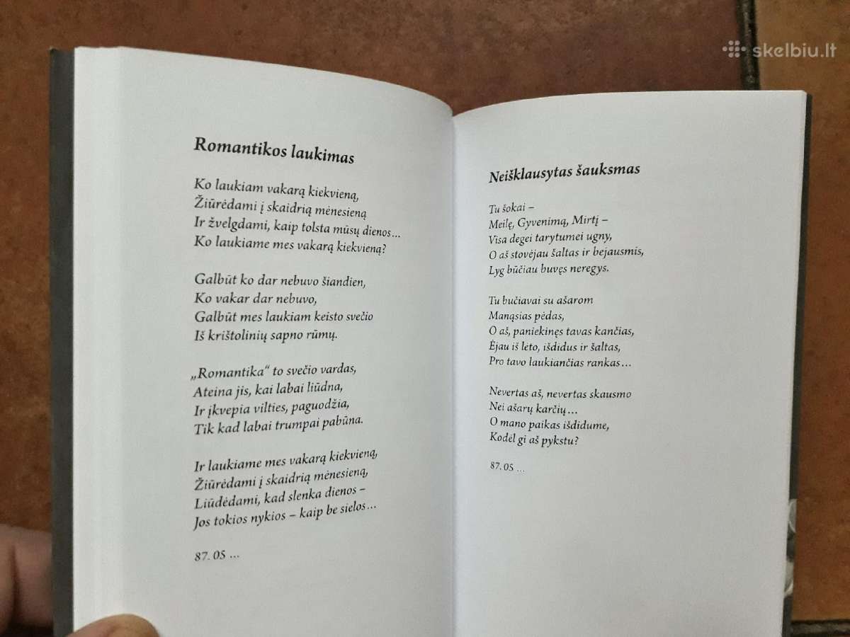 Raimonda Ruzgaitė "Nutrūkusios eilės" 2023 metai - nuotraukos Nr. 9