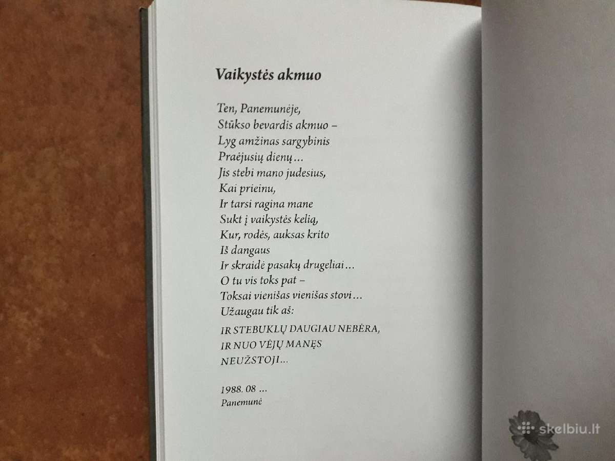Raimonda Ruzgaitė "Nutrūkusios eilės" 2023 metai - nuotraukos Nr. 12