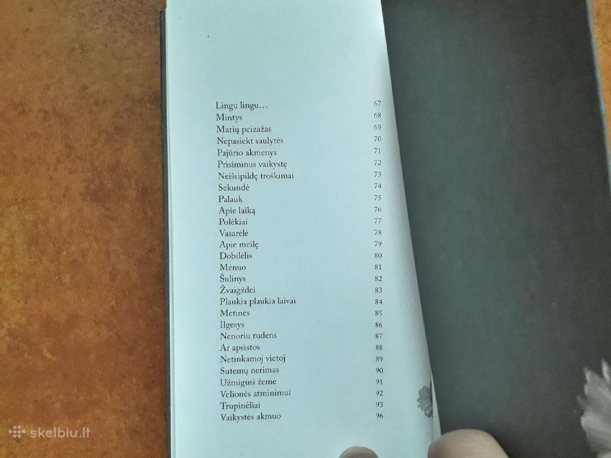 Raimonda Ruzgaitė "Nutrūkusios eilės" 2023 metai - nuotraukos Nr. 14