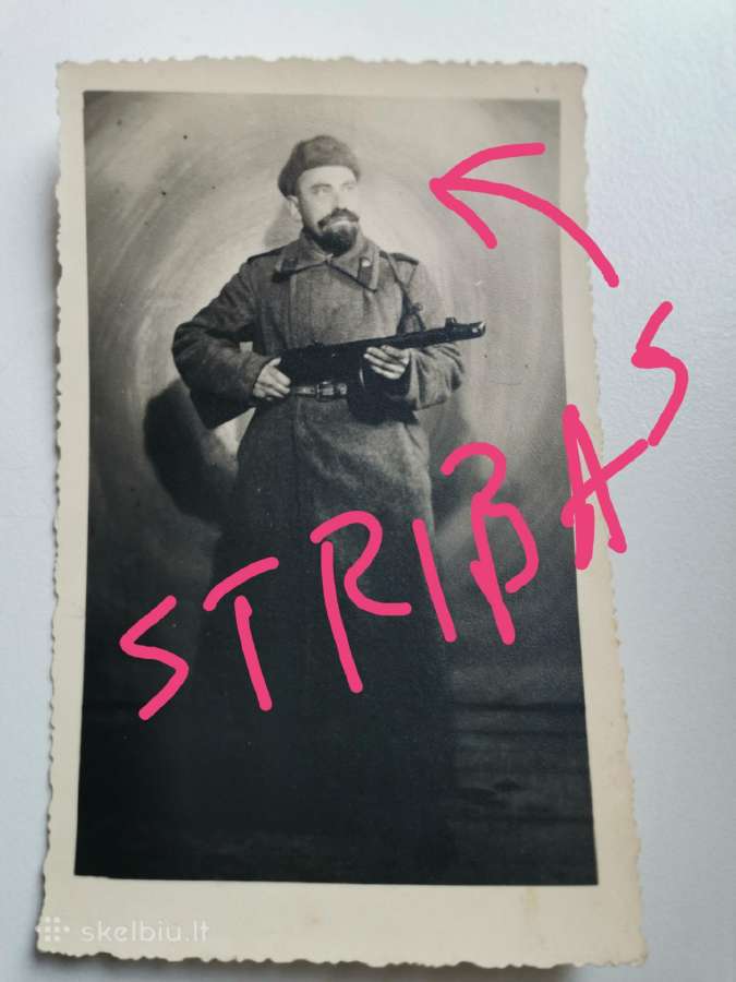 Orginali stribo nuotrauka