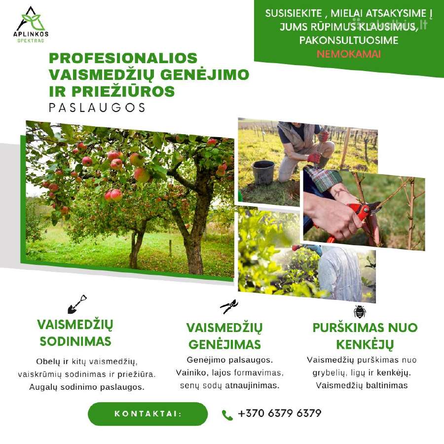 Vejos priežiūra, aplinkos tvarkymas - nuotraukos Nr. 5