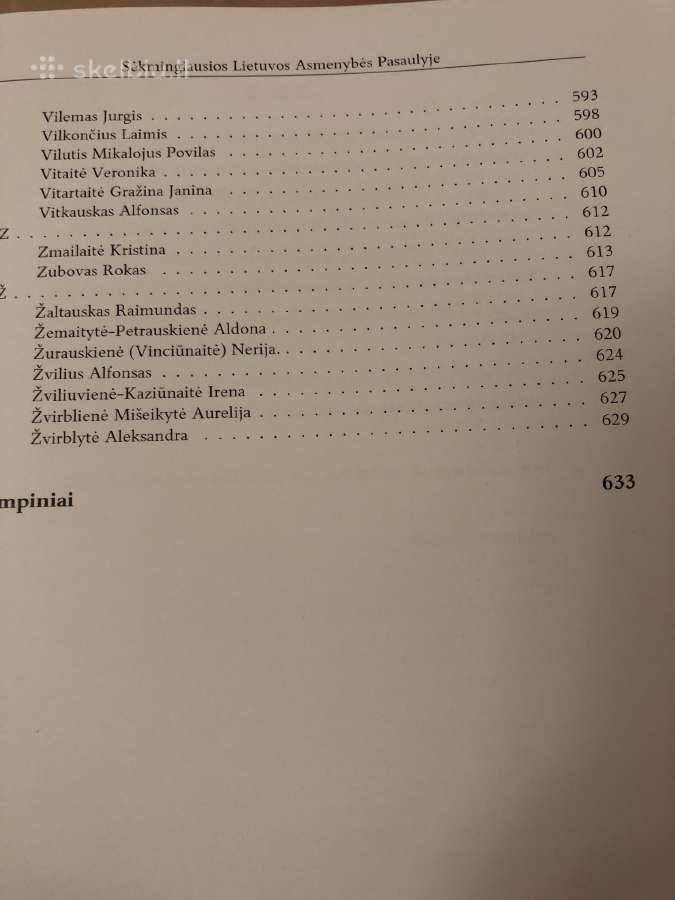 Sėkmingiausios Lietuvos asmenybės pasaulyje - nuotraukos Nr. 12