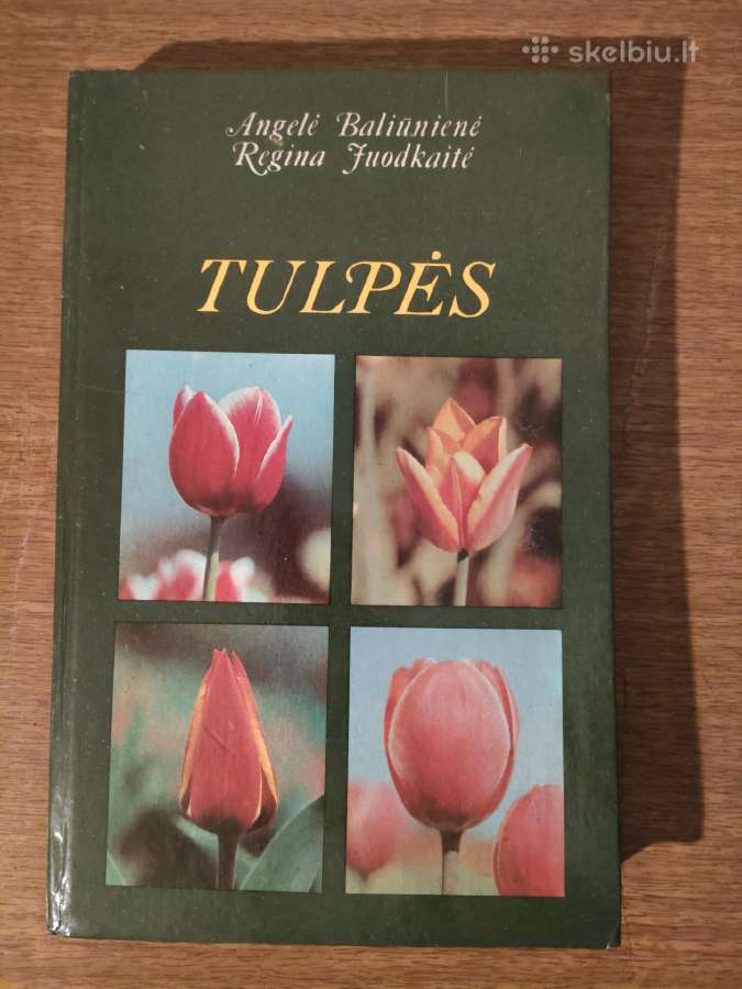 "Tulpės" . Angelė Baliūnienė ir Regina Juodkaitė