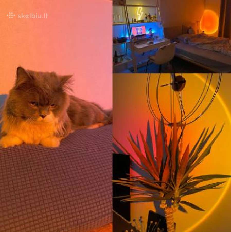 LED saulėlydžio lempa Projektorius