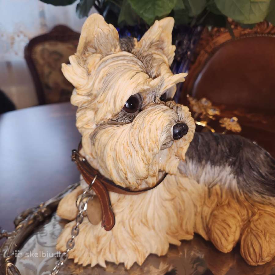 Parduodu Nuostabu statulelie Jokširiuko - nuotraukos Nr. 11