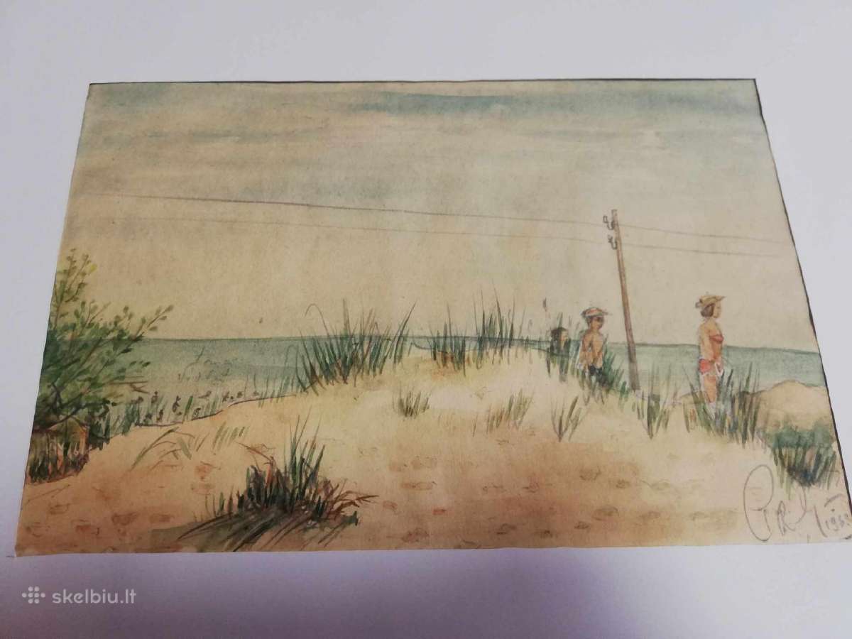 Nidoje 1969m