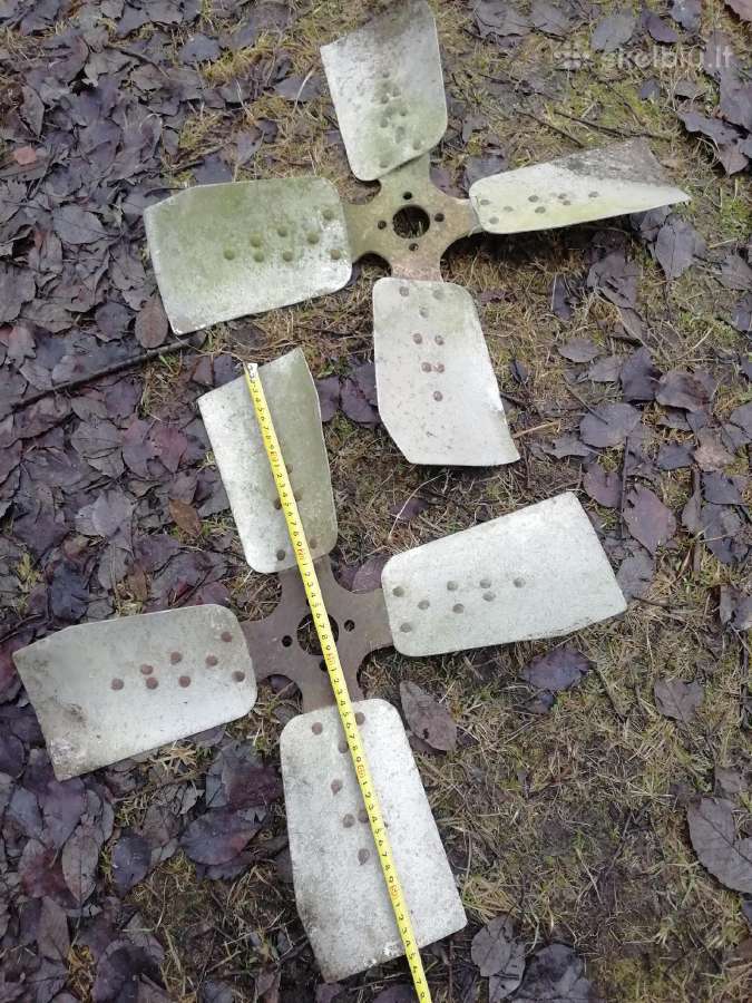 Sparnuotė
