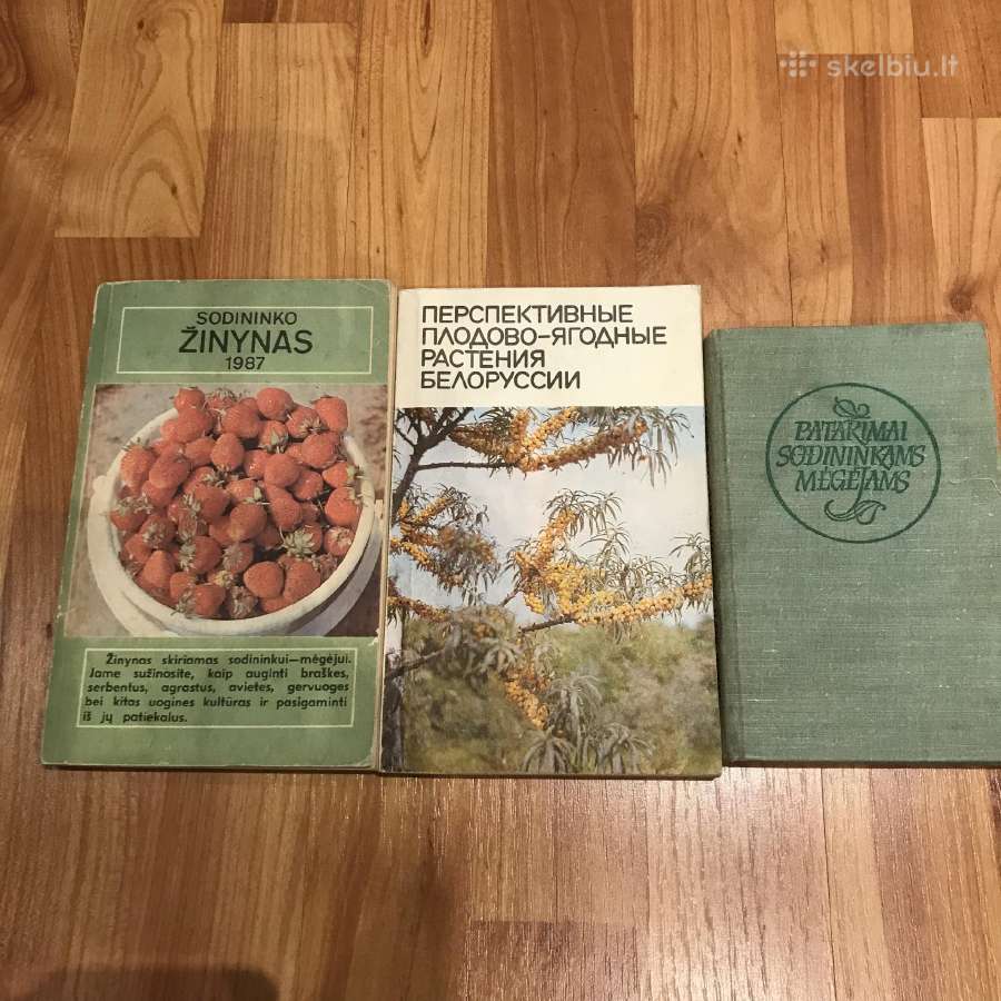 Viskas apie sodo prieziura