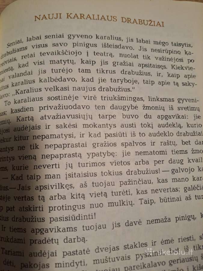 Pasakos Laukines Gulbes - nuotraukos Nr. 2