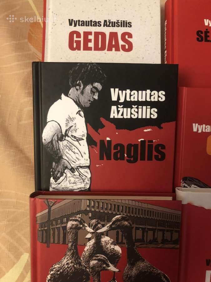 V. ažušilio knygos Deima - nuotraukos Nr. 4