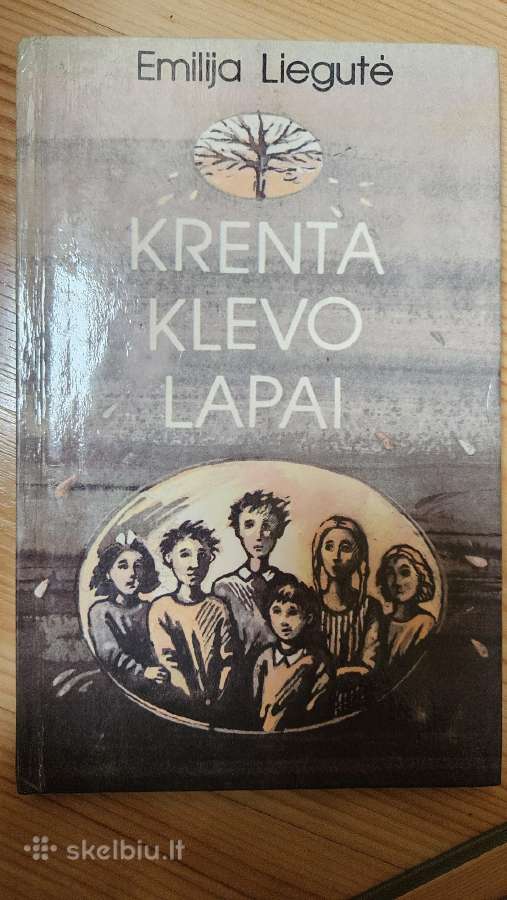 Senos grožinės literatūros knygos