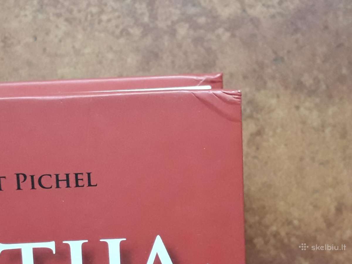 Chas. L. Thourot Pichel "Žemaitija" 2007 metai - nuotraukos Nr. 8