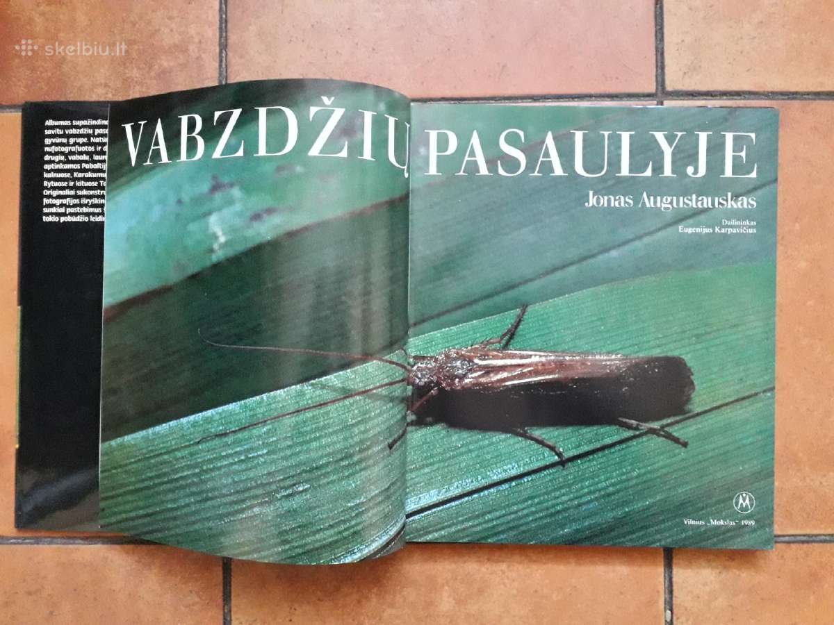 Jonas Augustauskas "Vabzdžių pasaulyje" 1989 metai - nuotraukos Nr. 4