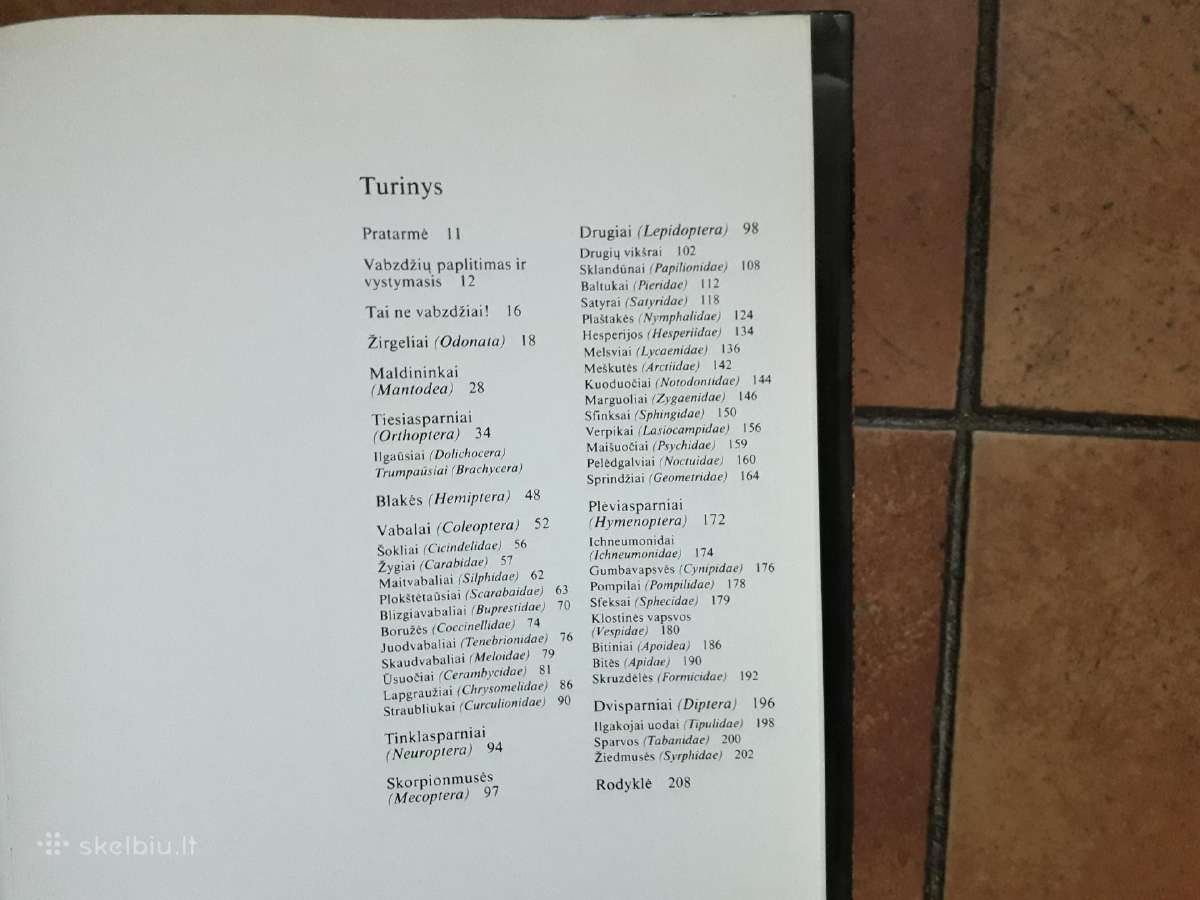 Jonas Augustauskas "Vabzdžių pasaulyje" 1989 metai - nuotraukos Nr. 8