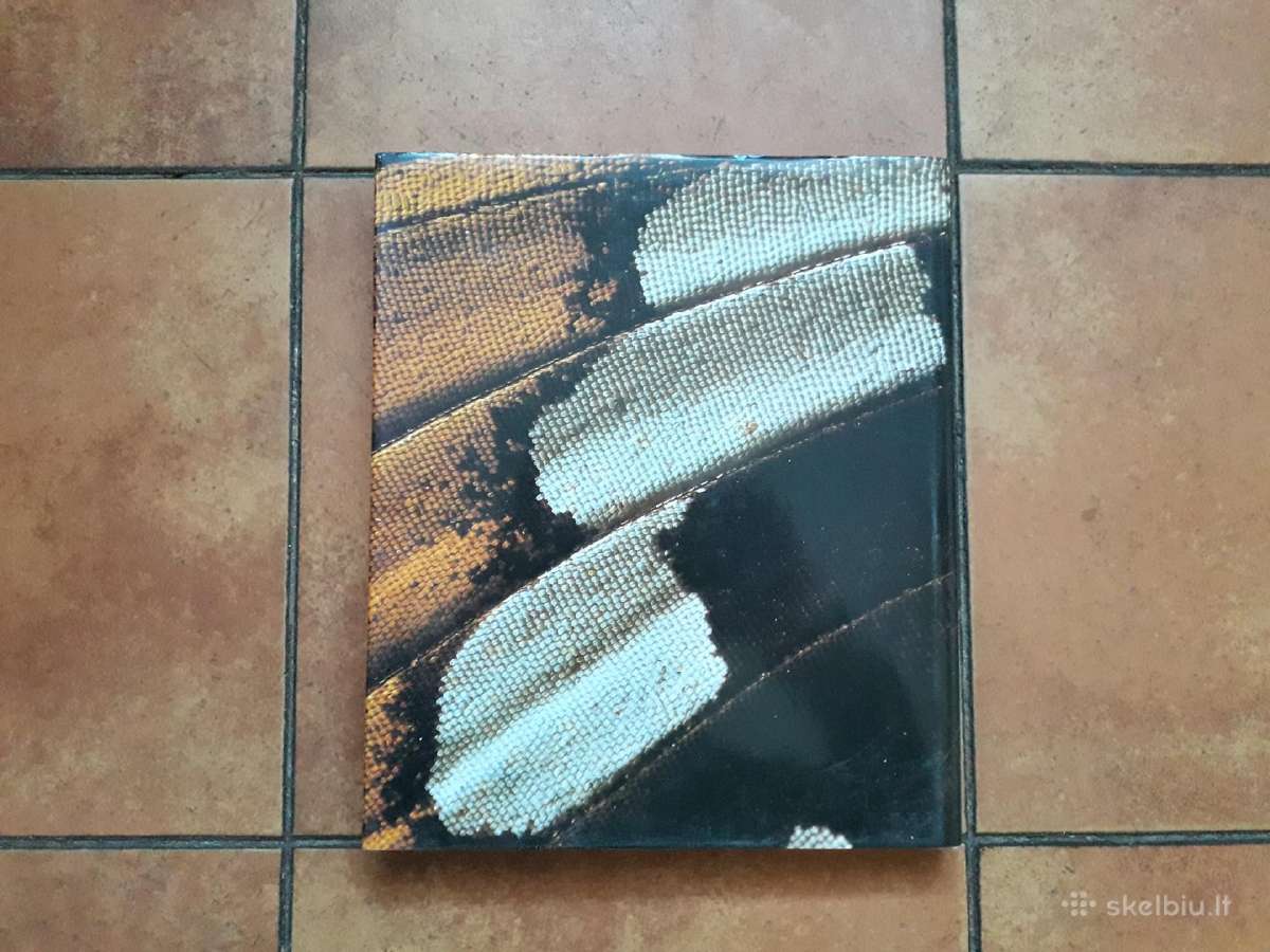 Jonas Augustauskas "Vabzdžių pasaulyje" 1989 metai - nuotraukos Nr. 10