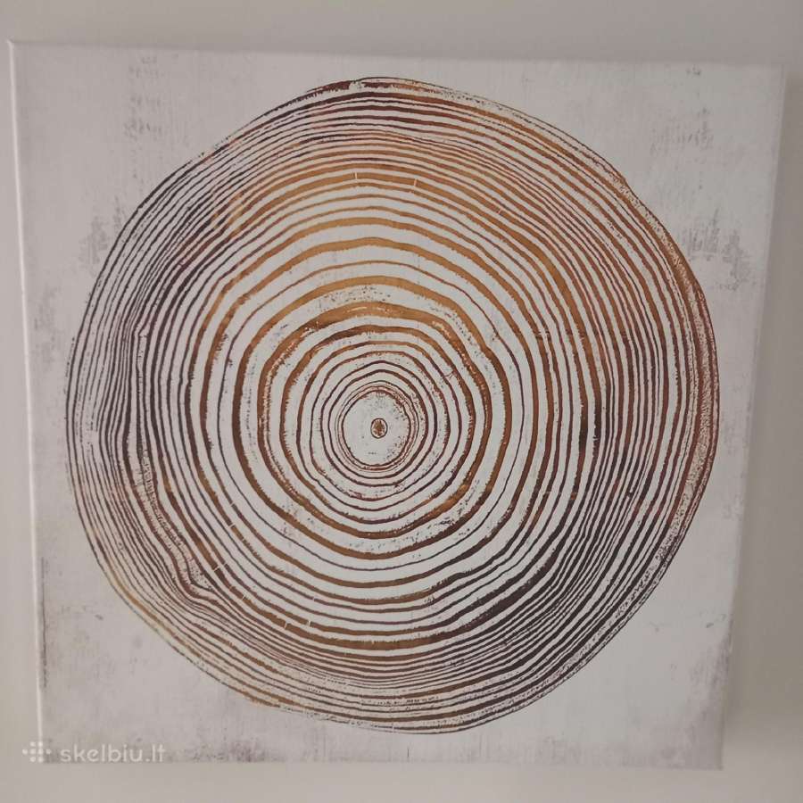 Majestic paveikslas dekoracija 45cm x 45cm