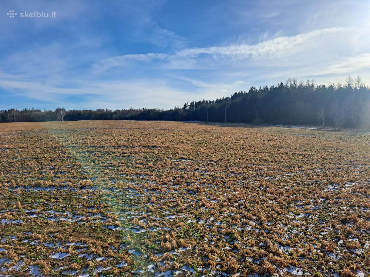Žemės ūkio paskirties sklypas - nuotraukos Nr. 4