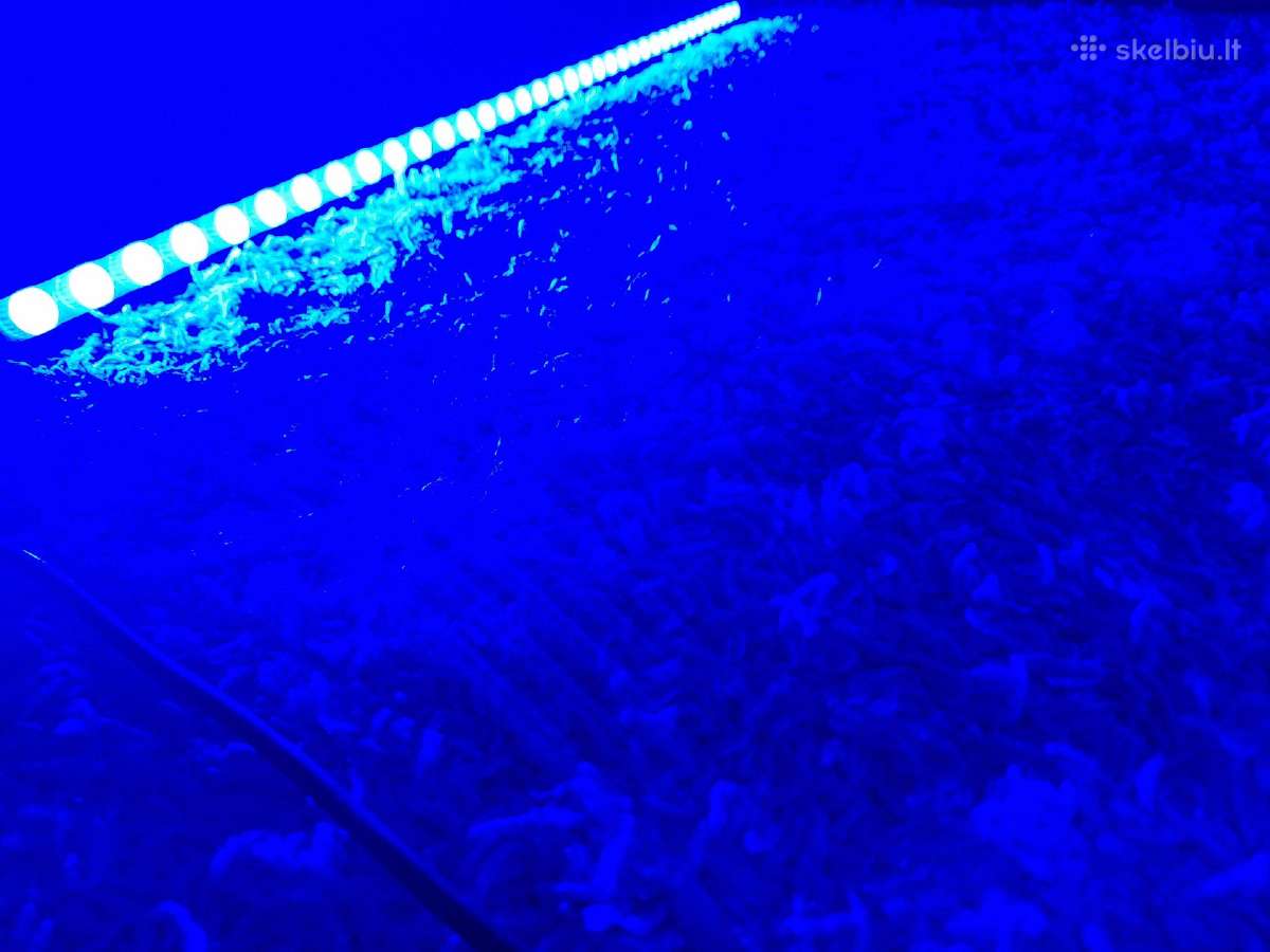 Lempa coralblue 115cm - nuotraukos Nr. 2