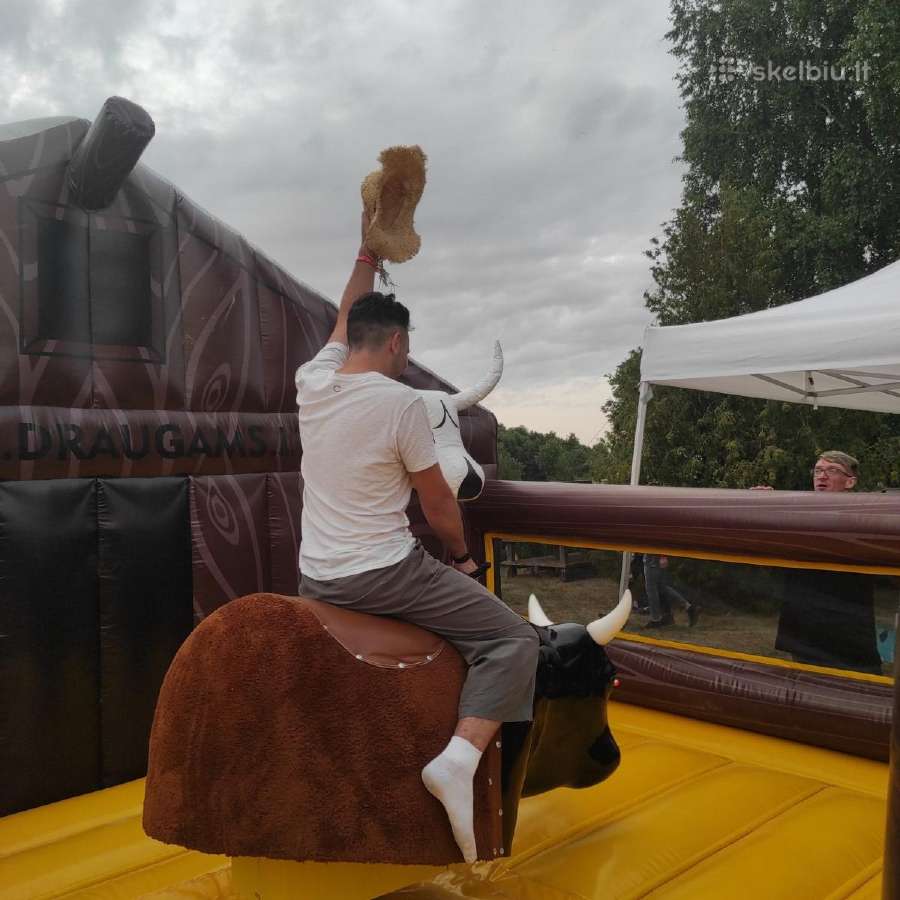 Renginių organizavimas įmonėms - nuotraukos Nr. 26