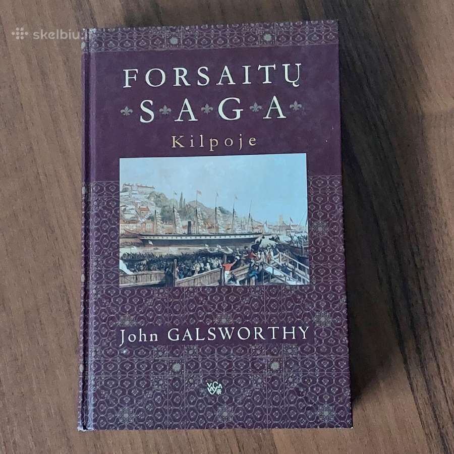 John Galsworthy " Forsaitų saga ". - nuotraukos Nr. 9