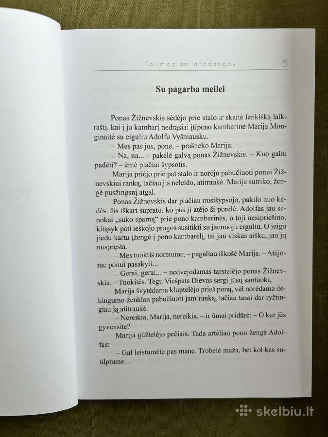 Tolimosios atodangos. J. Laurinavičius - nuotraukos Nr. 3