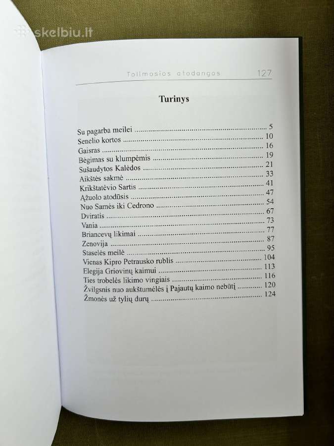 Tolimosios atodangos. J. Laurinavičius - nuotraukos Nr. 4