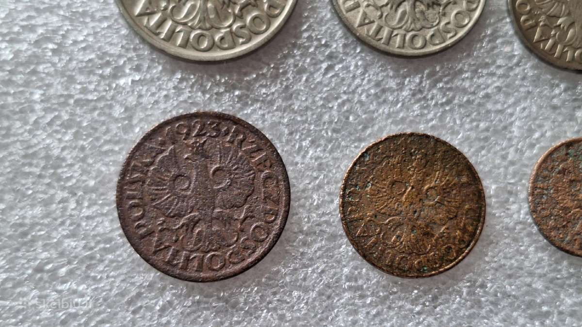 Lenkijos monetų rinkinys 1923-31-36m. - nuotraukos Nr. 7