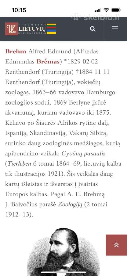 Albumas - nuotraukos Nr. 4