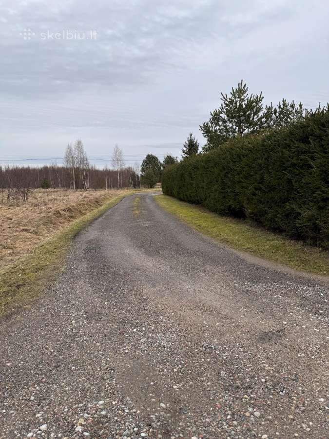 Sklypas Dituvoje, Pavasario gatvėje 230 arų - nuotraukos Nr. 5