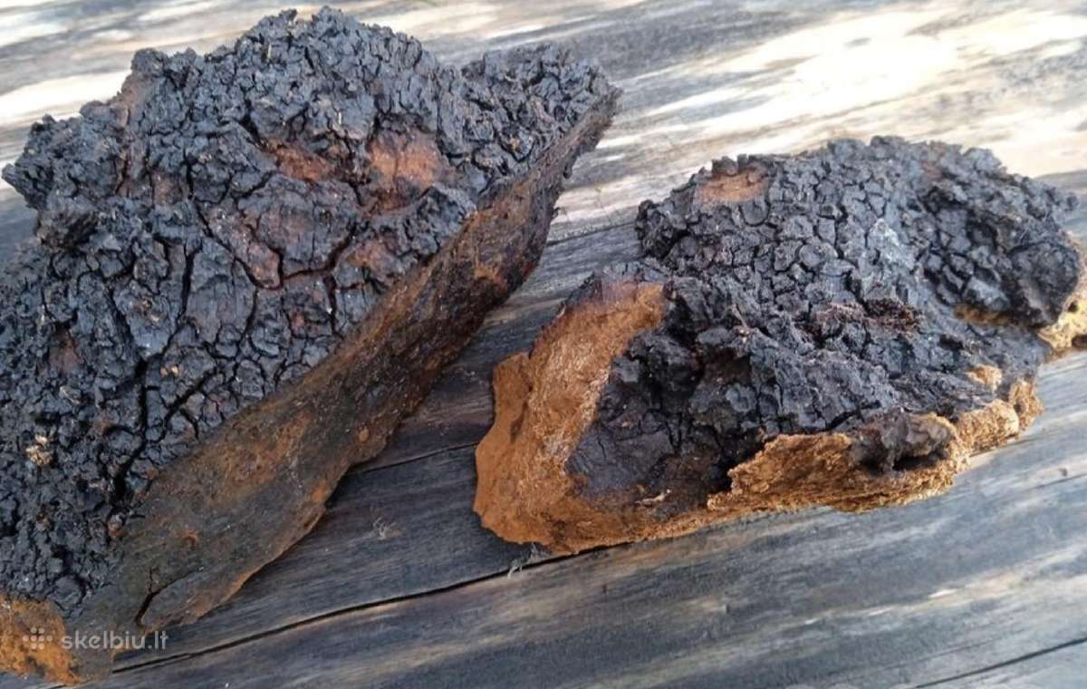 aga Didmena Nuo 100kg Skelbiu lt aga Didmena Nuo 100kg Skelbiu lt