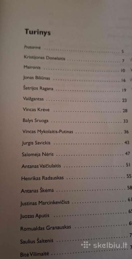 Lietuvių literatūros konspektas abiturientui 12 kl - nuotraukos Nr. 2