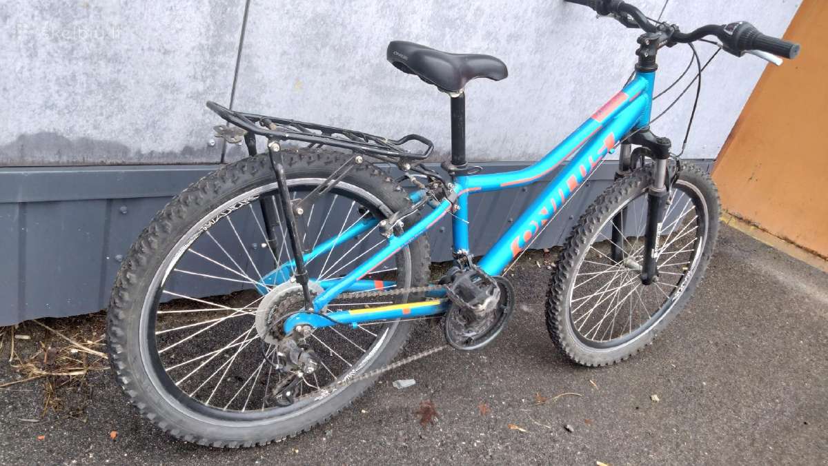 Onylus viper 24