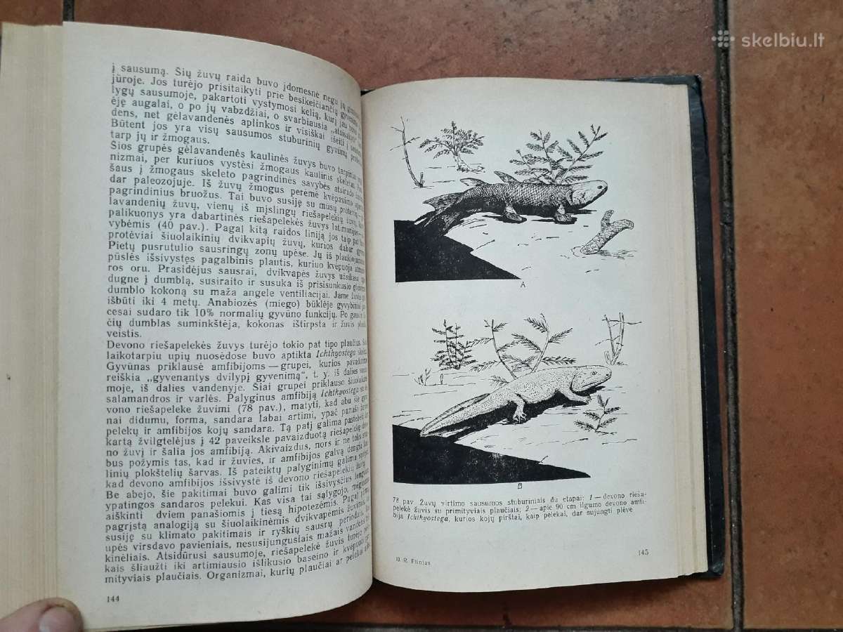 R. Flintas "Žemės istorija" 1985 metai - nuotraukos Nr. 3