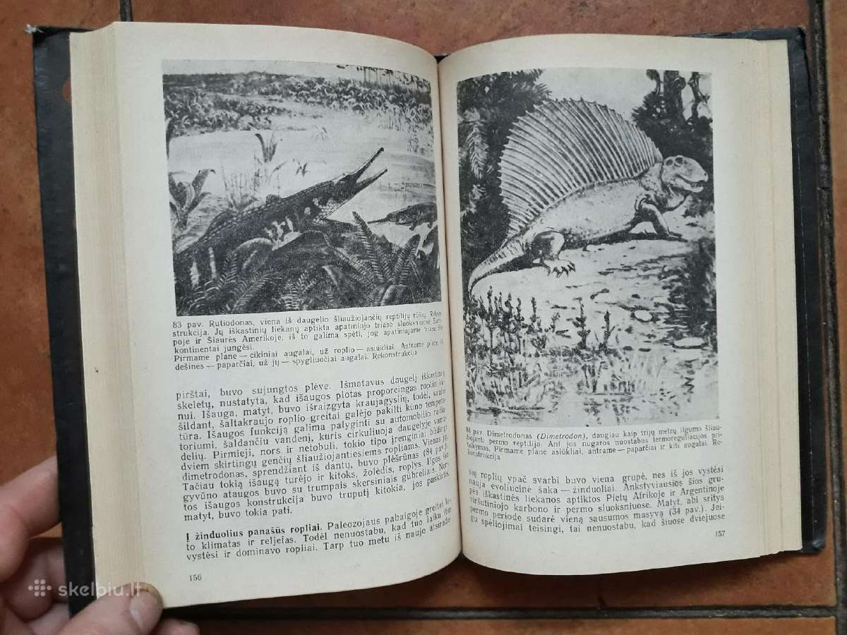 R. Flintas "Žemės istorija" 1985 metai - nuotraukos Nr. 4