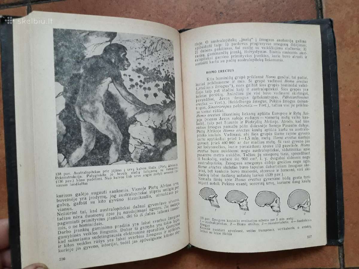 R. Flintas "Žemės istorija" 1985 metai - nuotraukos Nr. 6