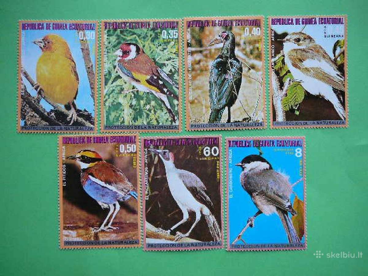 Pauksciai Ekv. Gvineja 1976 Mnh ekv989s