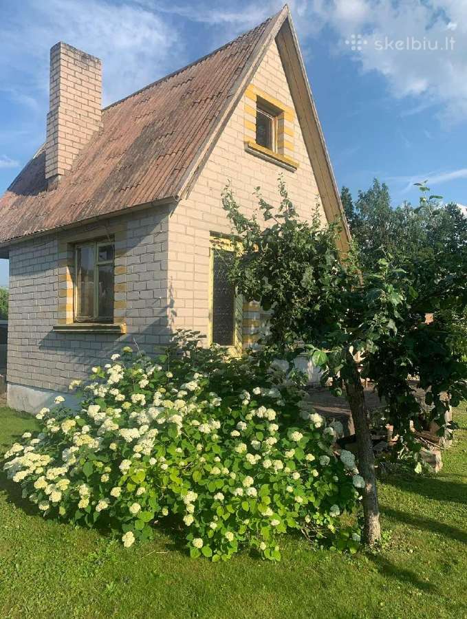 Sodo namelis didelis sklypas prie vandens telkinio - nuotraukos Nr. 2