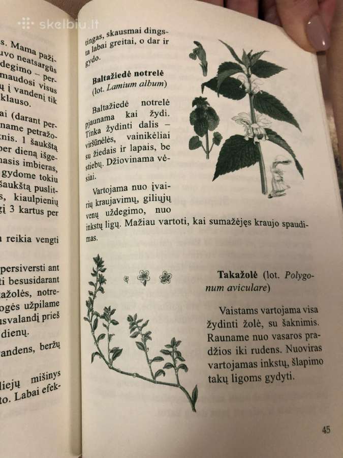 Mamos sveikatos knygelė - nuotraukos Nr. 6