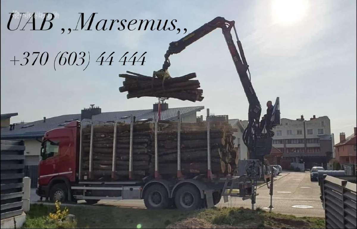 Beržo malkos rąstais su pristatymu – tik 50eur/m3 - nuotraukos Nr. 3