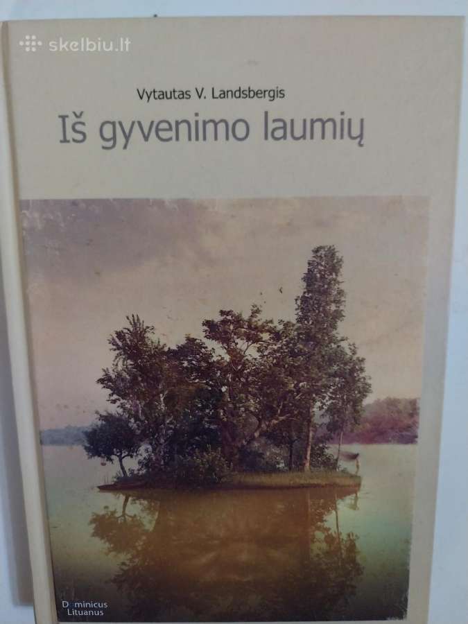 Knyga