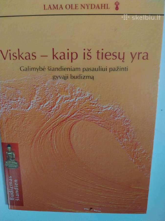 Knyga