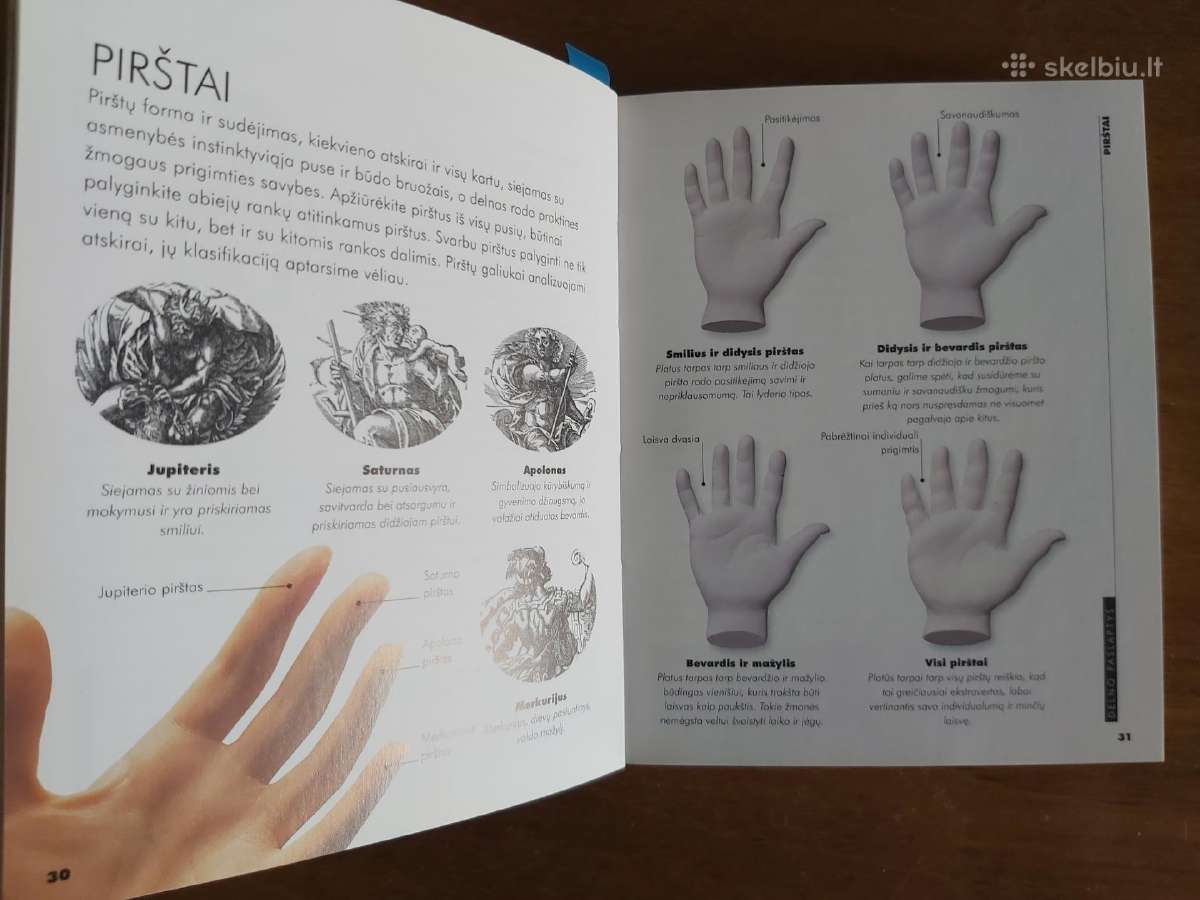 Knyga Delno paslaptys. Delnotyra - nuotraukos Nr. 5