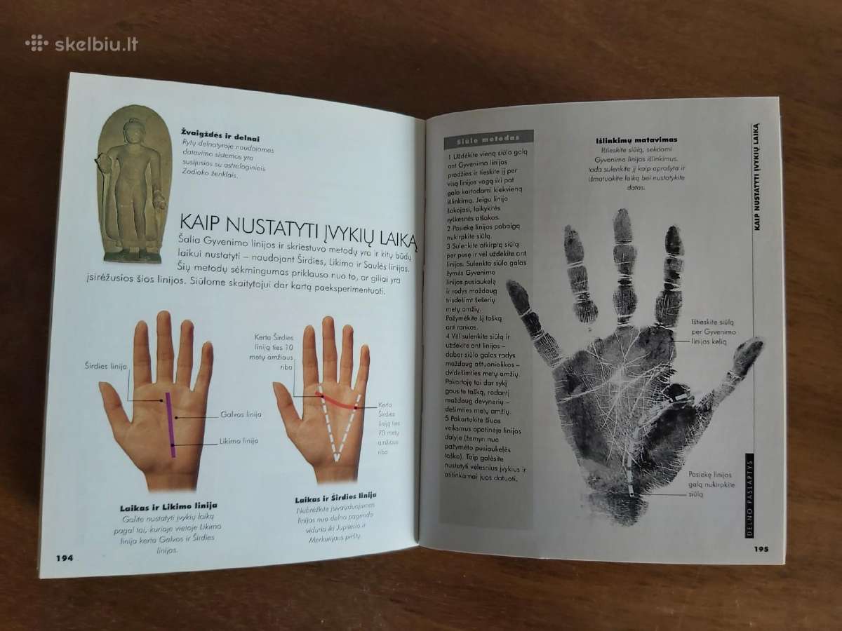 Knyga Delno paslaptys. Delnotyra - nuotraukos Nr. 4