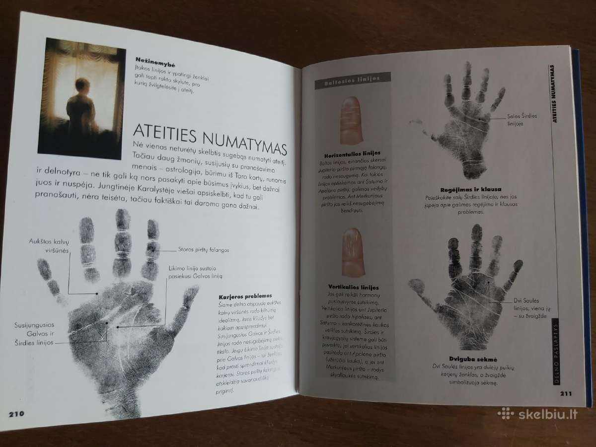 Knyga Delno paslaptys. Delnotyra - nuotraukos Nr. 6